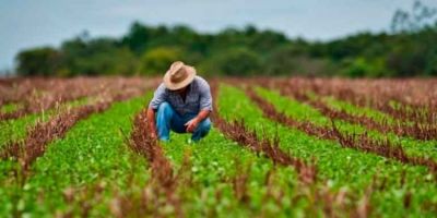 Agricultores Familiares são incluídos no auxílio emergencial