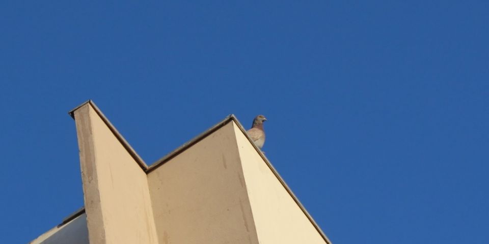 Sábado e domingo de sol e tempo seco no RS