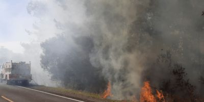 Abril pode ser o mês com mais incêndios no Rio Grande do Sul 