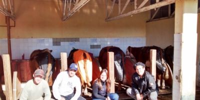 Pesquisa busca conhecer e melhorar dieta de ruminantes em pastejo