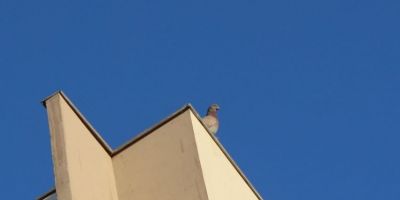 Sábado será de sol e temperatura agradável no RS