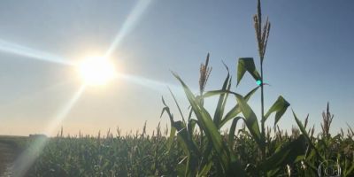 Agricultores do Rio Grande do Sul reclamam da demora no pagamento de seguro que cobre quebra de safra