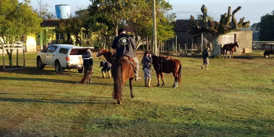Decrab Camaquã e Inspetoria Veterinária encerram primeira fase da operação recoluta