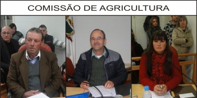 Comissão de Agricutura da Câmara de Camaquã define seus membros para 2015