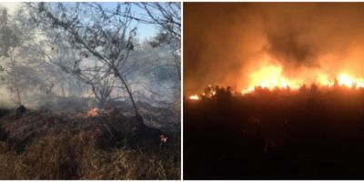 Dois incêndios são registrados em São Lourenço do Sul