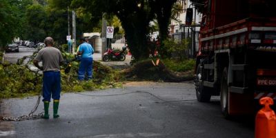 Chuva provoca alagamentos e quedas de árvores em Porto Alegre