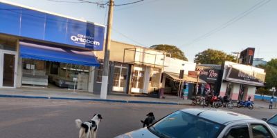 Cachorros voltam a atacar no centro de Camaquã