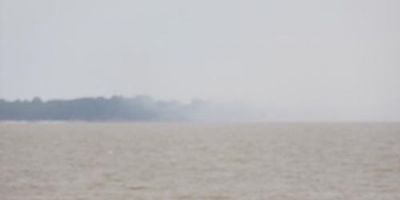 Incêndio atinge uma mata de pinus na Lagoa dos Patos em Tapes