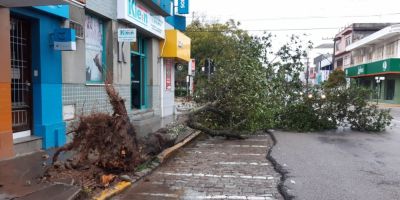 Ventos fortes e chuva causam estragos em Camaquã