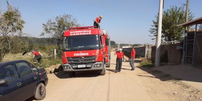 Fogo atinge mato próximo ao Ciep em Camaquã