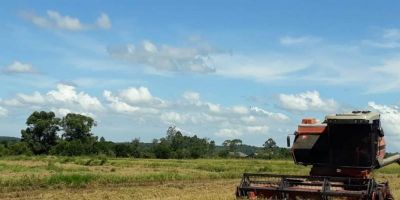 Com aumento nas vendas de soja e carnes, exportações do agronegócio registram alta no segundo trimestre