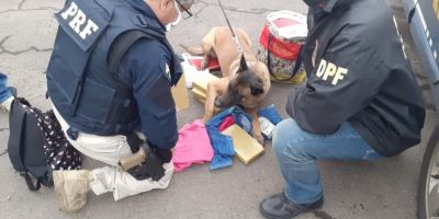 Mulher é presa com mais de cinco quilos de cocaína em um ônibus de linha em Eldorado do Sul