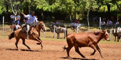 Governo do Estado anuncia liberação de atividades e provas campeiras