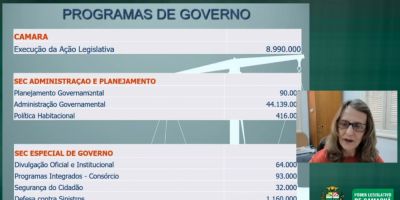 Comissão de Orçamento discute Lei de Diretrizes Orçamentárias em audiência pública 