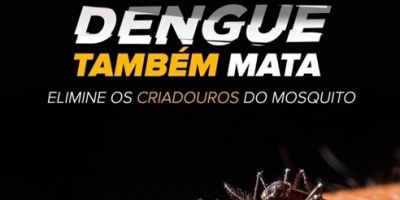 Agentes do Centro de Vigilância em Saúde fazem vistorias contra aedes aegypti em Camaquã