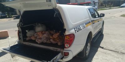 BRIGADA MILITAR: mais de uma tonelada de carne é apreendida na região do CRPO Sul