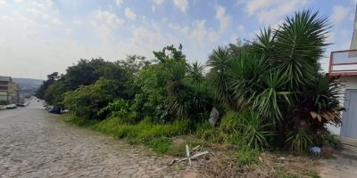 Mato em terreno baldio causa transtorno a moradores no centro de Camaquã 