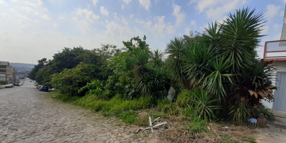 Mato em terreno baldio causa transtorno a moradores no centro de Camaquã 