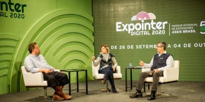 Políticas públicas para a agroindústria familiar em debate na Expointer Digital 2020