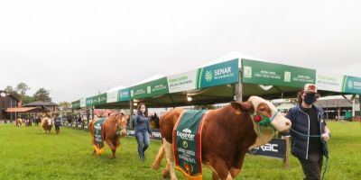 Edição digital da Expointer é oficialmente aberta com o tradicional desfile dos campeões