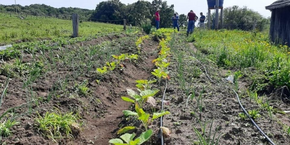 Mais de 500 famílias são beneficiadas pelo Programa Segunda Água na Zona Sul do Estado