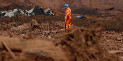 Plano orientará ações de resgate e cuidados com animais em desastres