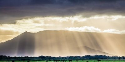Pastagens são beneficiadas pelo clima de outono no RS