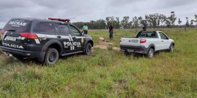 Decrab Camaquã investiga furto abigeato em Arambaré