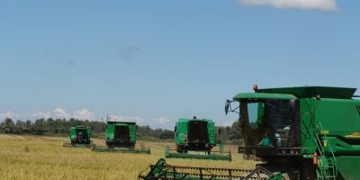 Colheita de arroz no Rio Grande do Sul já chega a 53% da área semeada