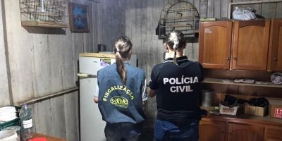Aves silvestres são apreendidas após investigações no RS