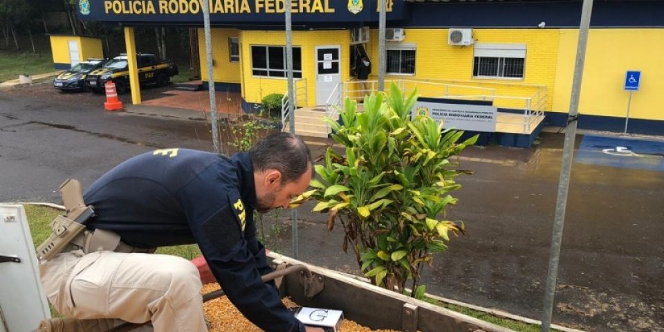 PRF apreende grande quantidade de cigarros escondidos em carga de milho no RS