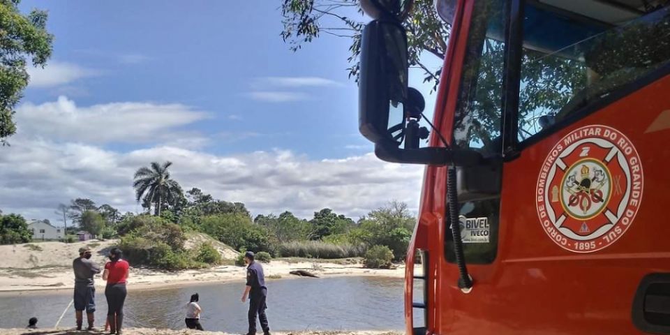 Bombeiros e equipes ambientais monitoram leão-marinho que apareceu em praia de São Lourenço do Sul