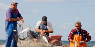 Comercialização de peixes na Semana Santa deve ultrapassar 3.200 toneladas
