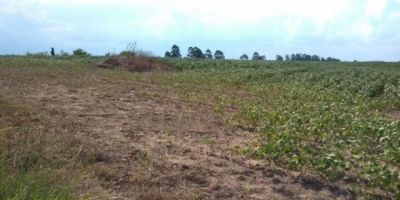 Defesa Civil publica lista atualizada de municípios em situação de emergência no RS