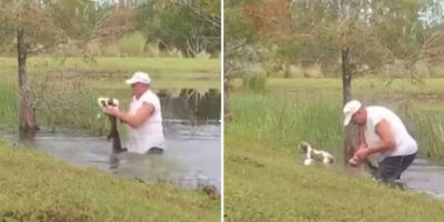 VÍDEO! homem pula em lago e tira cachorro de boca de jacaré