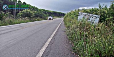 Usuários da ERS-350, trecho Camaquã/Chuvisca reclamam do mato que tomou conta do acostamento da rodovia