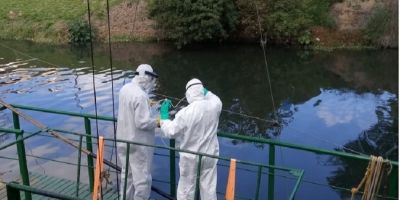 Pesquisa aponta presença de coronavírus em amostras coletadas em esgotos de Porto Alegre e Região Metropolitana