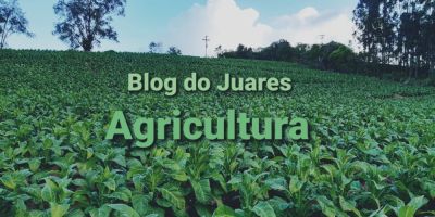 Camaquense é um dos classificados para o programa Bolsa Juventude Rural