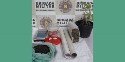 Homem é preso com mais de meio quilo de maconha e planta da droga em SLS