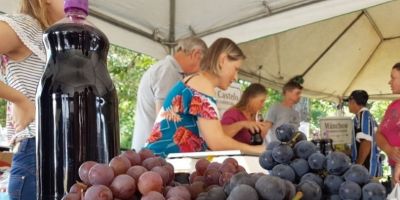 Mostra da Viticultura terá a 2ª edição em Camaquã