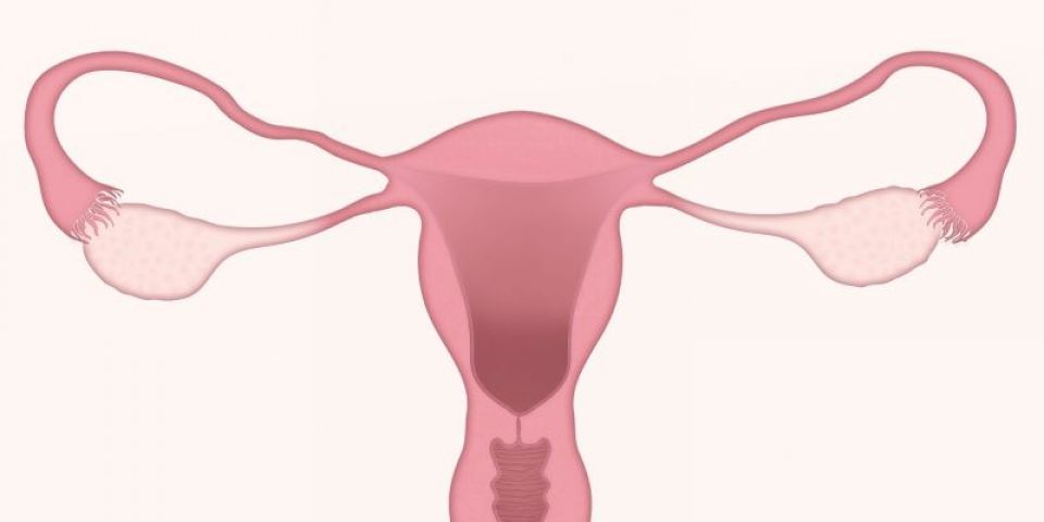 Câncer de colo de útero: campanha alerta para a importância do diagnóstico precoce