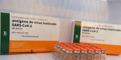 Anvisa decidirá hoje sobre uso emergencial de mais 4,8 milhões de doses da Coronavac