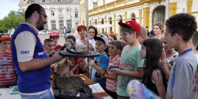 Pelotas conhece a Caravana Cultural do Mirim