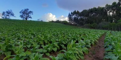 Projeto cria linha de crédito para pequenos e médios produtores rurais