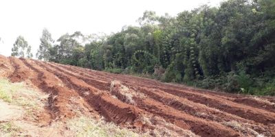 Projeto cria linha de crédito para descendente de agricultor familiar comprar terra