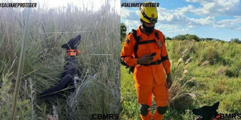 Corpo é encontrado em Eldorado do Sul