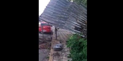 VÍDEO: carro atinge árvores e estrutura de ponto de táxi em Camaquã