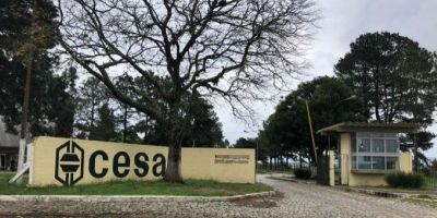 Cesa de Camaquã será leiloada nesta quarta