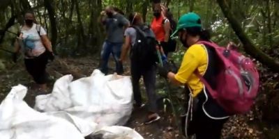 Começa a limpeza na mata próxima à Prainha, em Camaquã