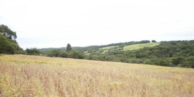 Canguçu tem situação de emergência homologada pelo Estado